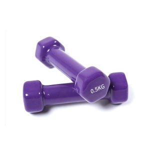 Vinyl Dumbbells Wholesale-Durable Coated Hand Weights For Home