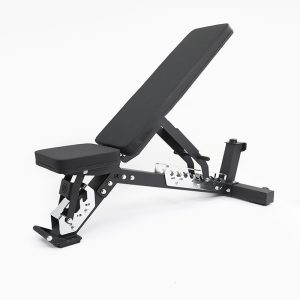 Adjustable Gym Bench for Professional Gyms Dumbbell Trainning